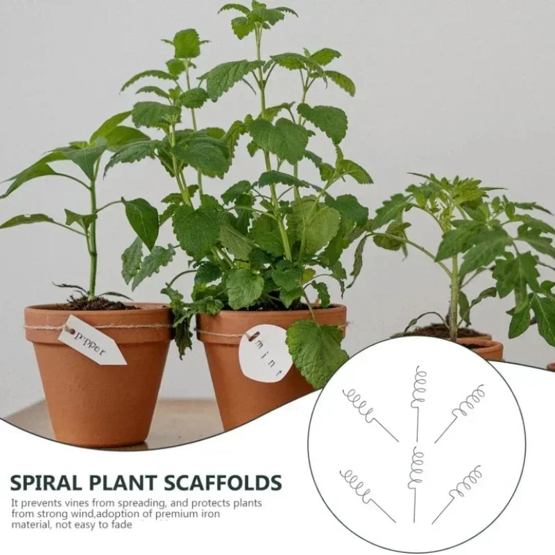 Climbing Plant Support Stake S - đánh giá và giá Us Bonsai Garden