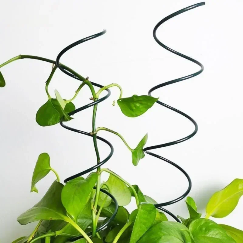 Climbing Plant Support Stake S - đánh giá và giá Us Bonsai Garden