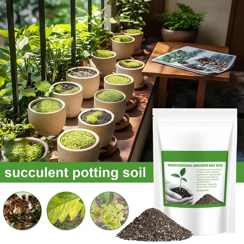 Succulent Soil Potting Mix Aer - đánh giá và giá Us Bonsai Garden