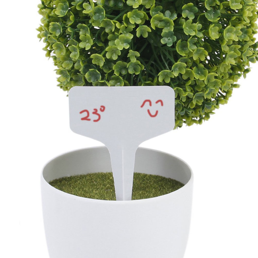 200Pcs T Shaped Plastic Plant  - đánh giá và giá Bonsai Garden Shop