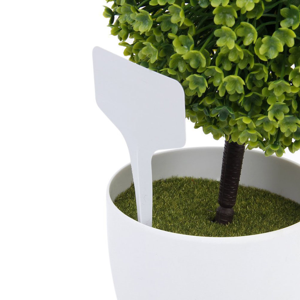 200Pcs T Shaped Plastic Plant  - đánh giá và giá Bonsai Garden Shop