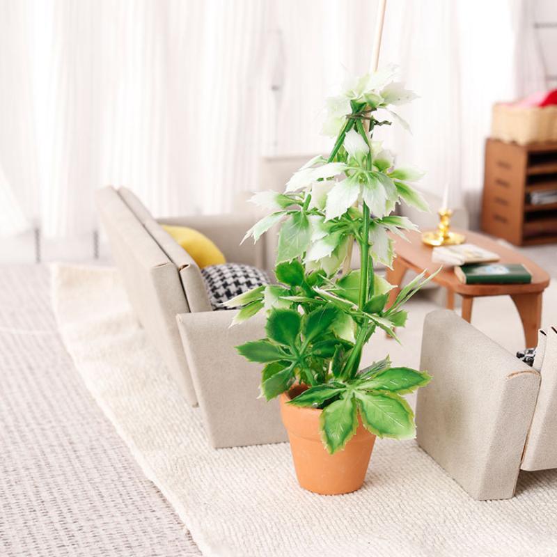 1/12 Dollhouse Simulation Gree - đánh giá và giá Us Bonsai Garden