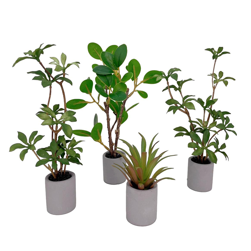 1:6 Dollhouse Miniature Potted - đánh giá và giá Bonsai Garden Ideas