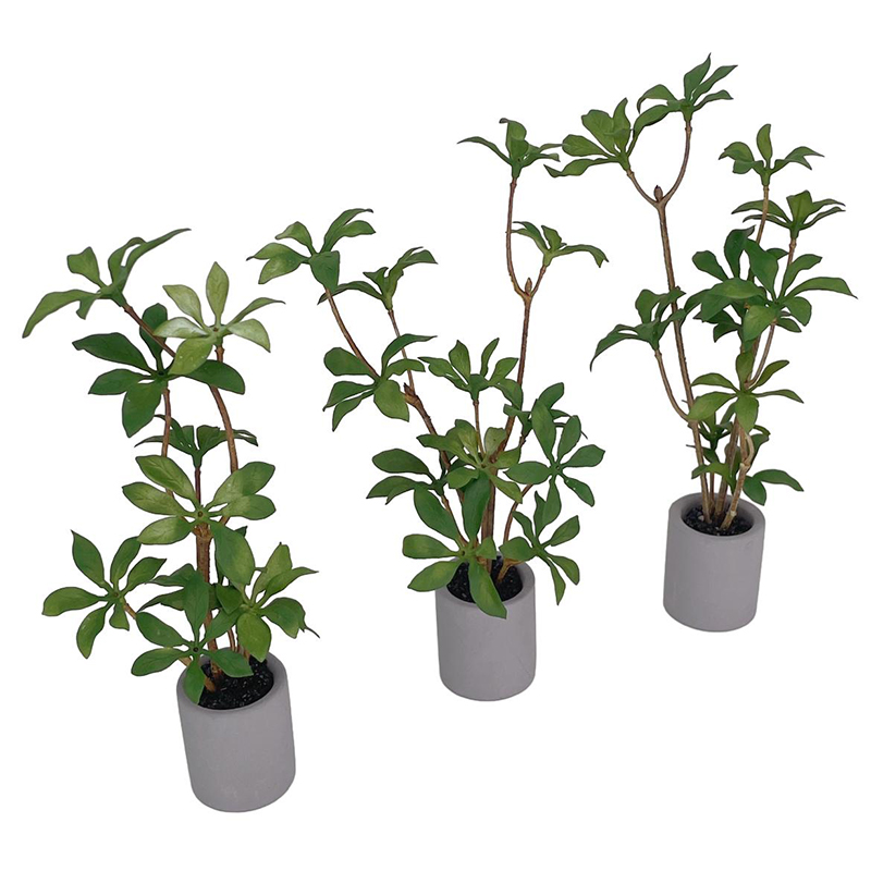 1:6 Dollhouse Miniature Potted - đánh giá và giá Bonsai Garden Ideas