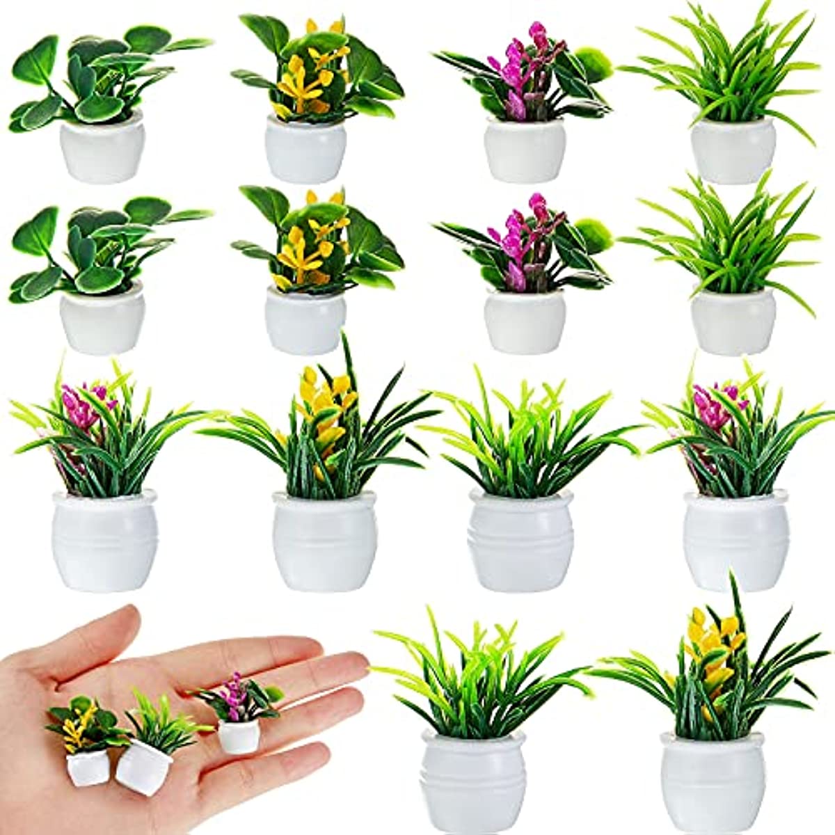 Dollhouse Plant, Miniature Bon - đánh giá và giá Bonsai Garden Ideas