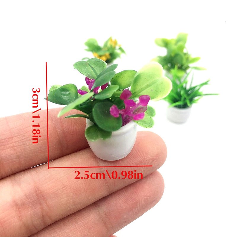 Dollhouse Plant, Miniature Bon - đánh giá và giá Bonsai Garden Ideas