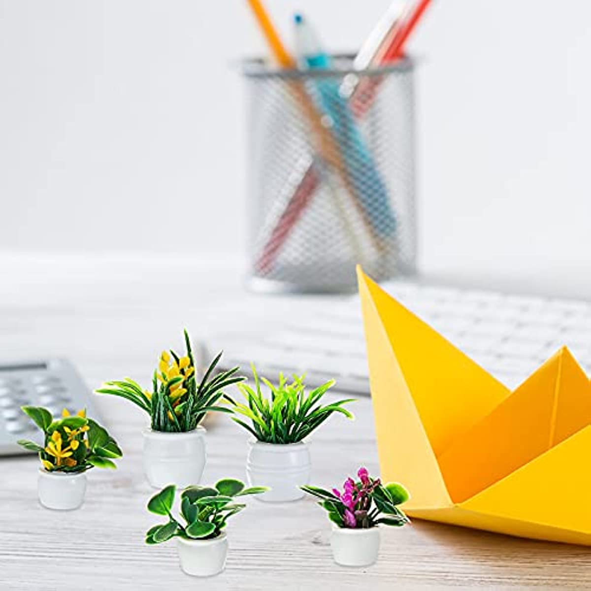 Dollhouse Plant, Miniature Bon - đánh giá và giá Bonsai Garden Ideas