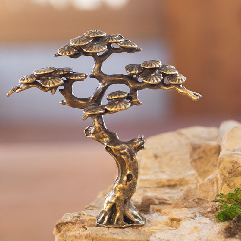 Mini Welcome Pine Miniature Fi - đánh giá và giá Bonsai Garden Ideas
