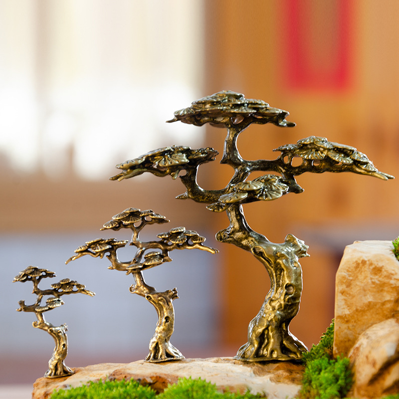 Mini Welcome Pine Miniature Fi - đánh giá và giá Bonsai Garden Ideas