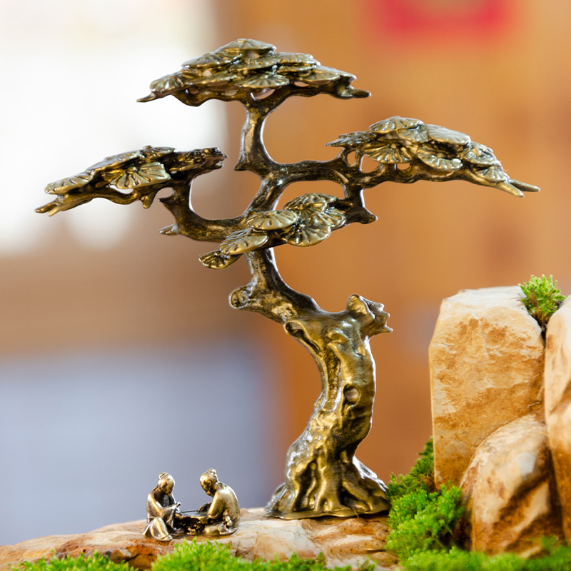 Mini Welcome Pine Miniature Fi - đánh giá và giá Bonsai Garden Ideas