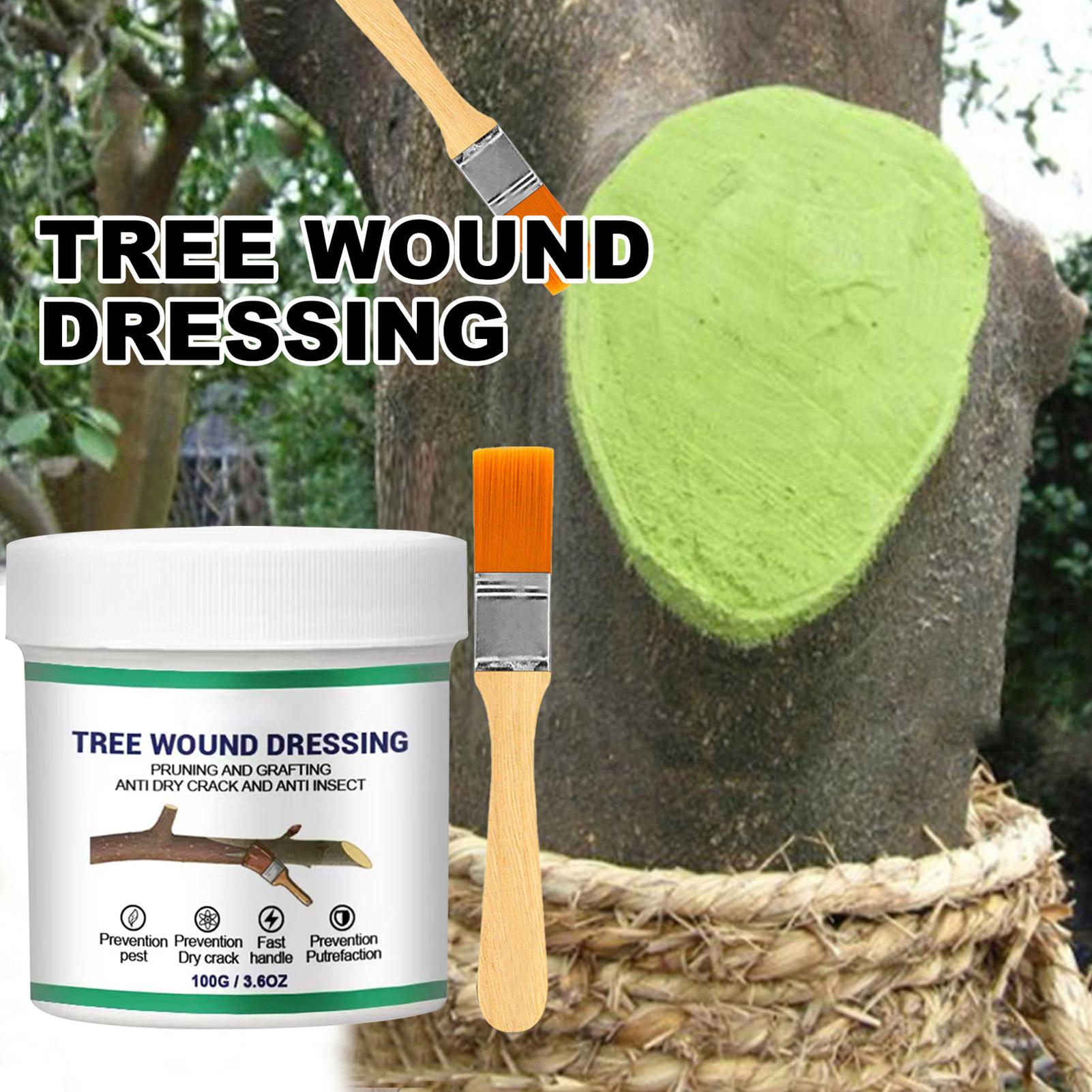 100g Tree Wound Pruning Sealer - đánh giá và giá Us Bonsai Garden