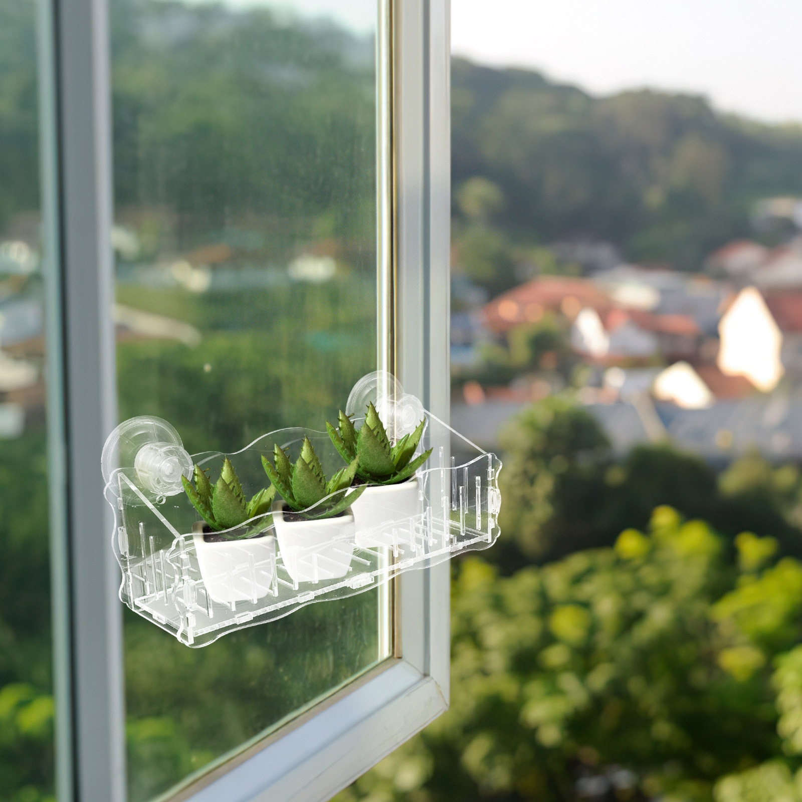 Suction Cup Plant Shelf Acryli - đánh giá và giá Us Bonsai Garden