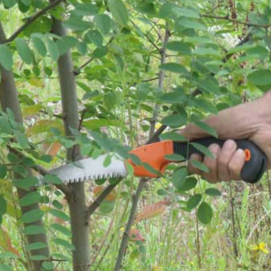 Garden Tool Farm Supplies Hand - đánh giá và giá Bonsai Saw Folding
