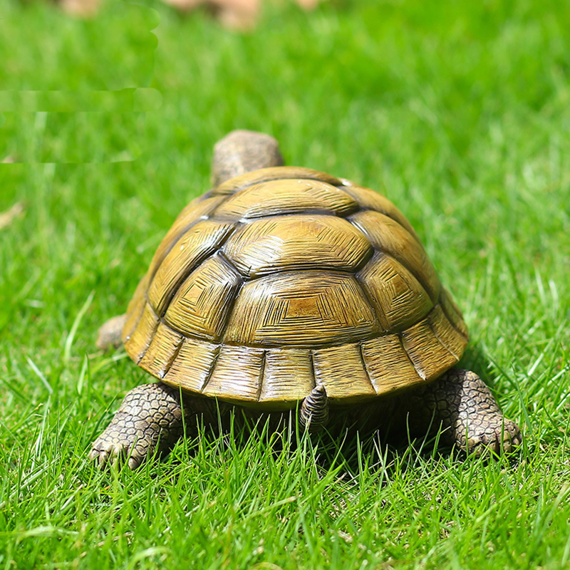Cute Decorative Turtle Resin T - đánh giá và giá Bonsai Garden Ideas